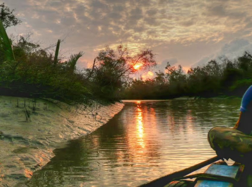 Sundarbans National Park, South 24 Parganas, West Bengal - Vushii.com